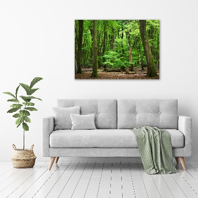Foto obraz na płótnie Holenderski las