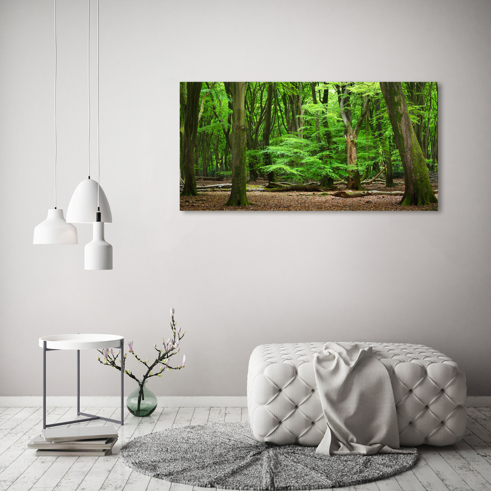 Foto obraz na płótnie Holenderski las
