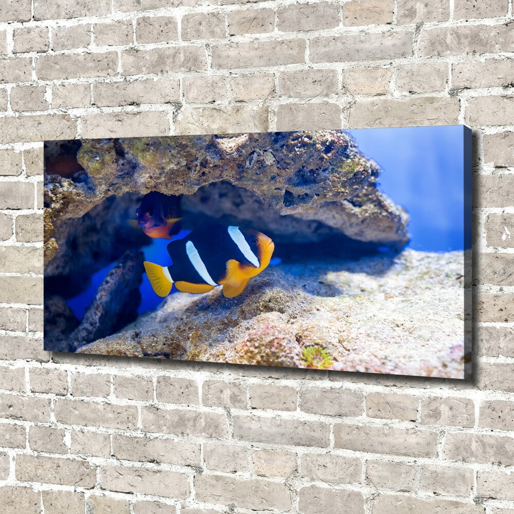 Obraz canvas do salonu Tropikalna ryba