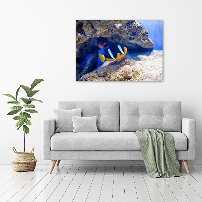 Obraz canvas do salonu Tropikalna ryba