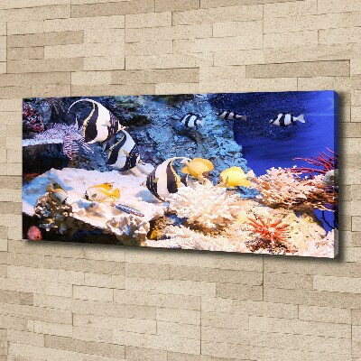 FotoObraz canvas do salonu Rafa koralowa