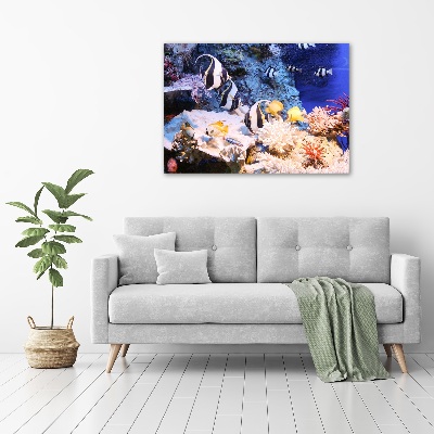 FotoObraz canvas do salonu Rafa koralowa