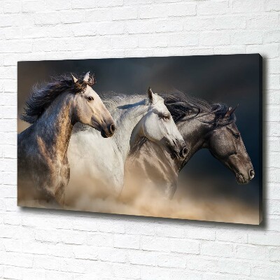 Obraz canvas do salonu Konie w galopie