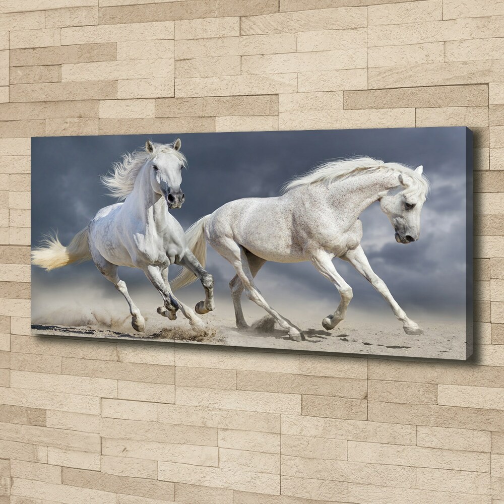 Obraz canvas do salonu Białe konie plaża