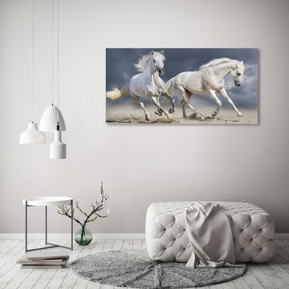Obraz canvas do salonu Białe konie plaża