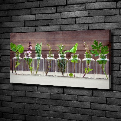 Foto obraz na płótnie Rośliny w słoikach