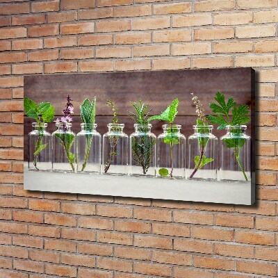Foto obraz na płótnie Rośliny w słoikach