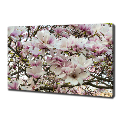 Foto obraz na płótnie Kwiaty magnolii