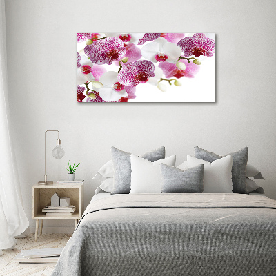 Foto obraz canvas Orchidea