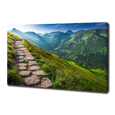 Foto obraz na płótnie Ścieżka w Tatrach