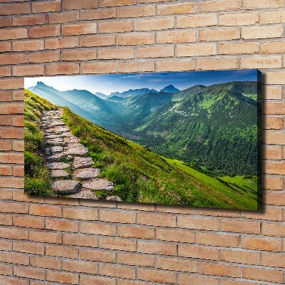 Foto obraz na płótnie Ścieżka w Tatrach