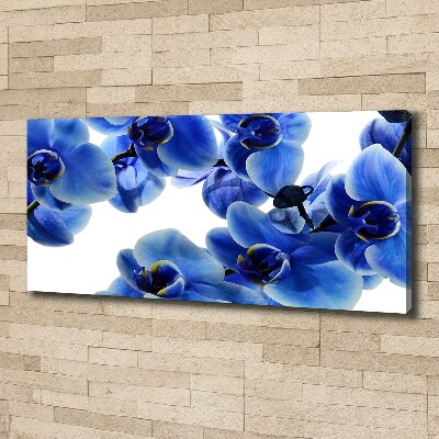 Foto obraz na płótnie Niebieska orchidea