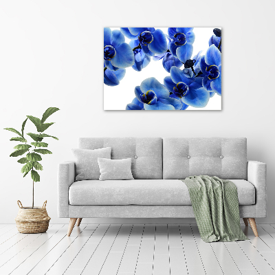 Foto obraz na płótnie Niebieska orchidea