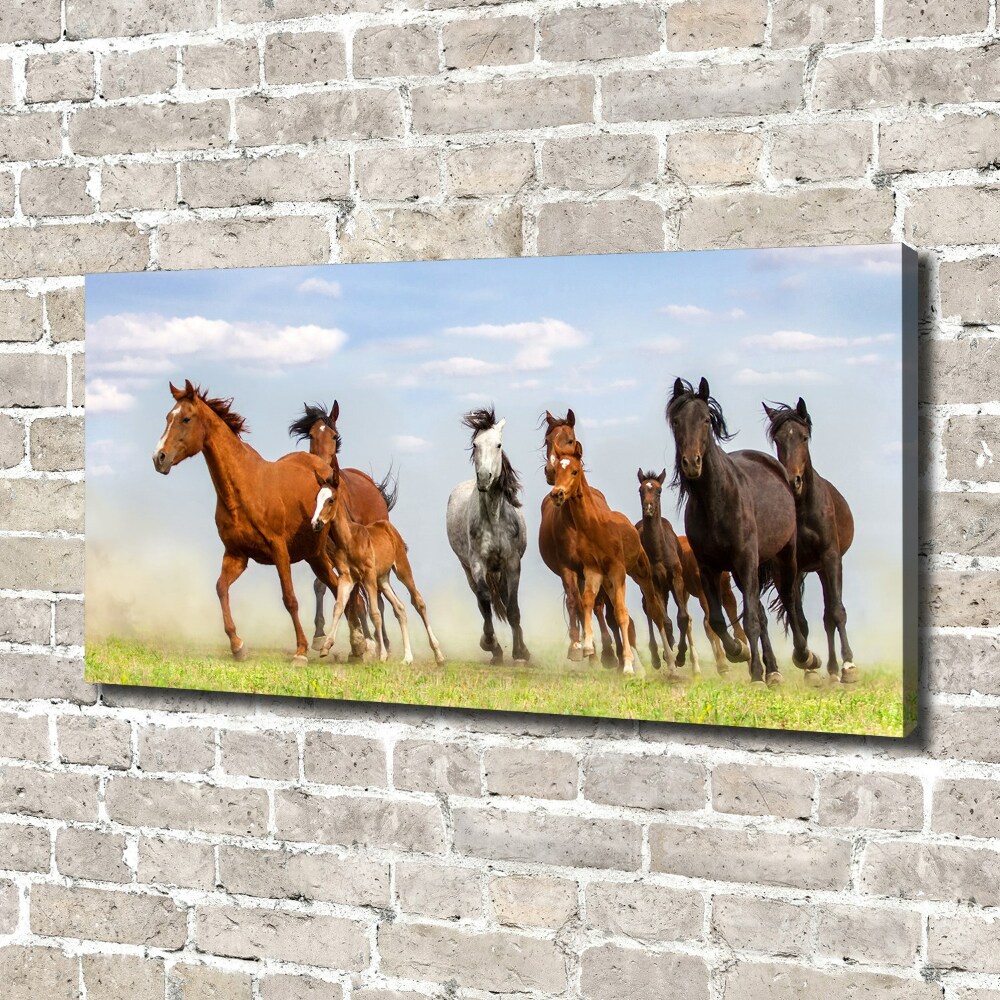Obraz canvas do salonu Konie w galopie