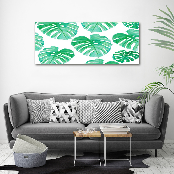 Foto obraz canvas Monstera