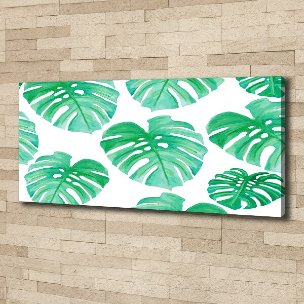 Foto obraz canvas Monstera