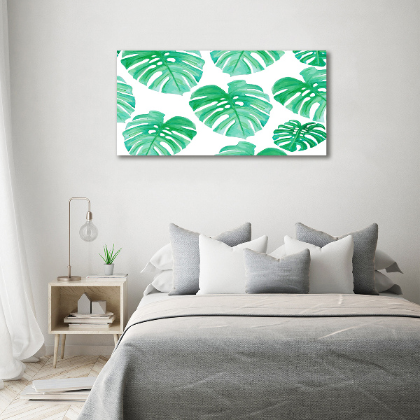 Foto obraz canvas Monstera