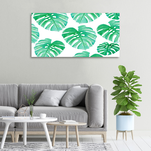 Foto obraz canvas Monstera