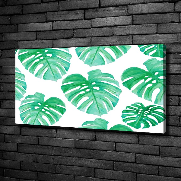 Foto obraz canvas Monstera