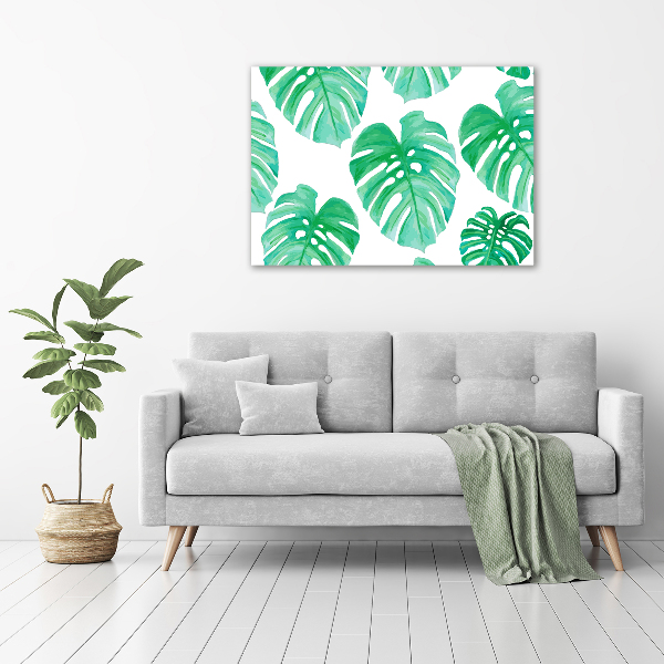 Foto obraz canvas Monstera