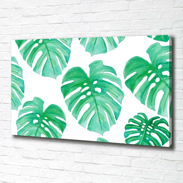 Foto obraz canvas Monstera