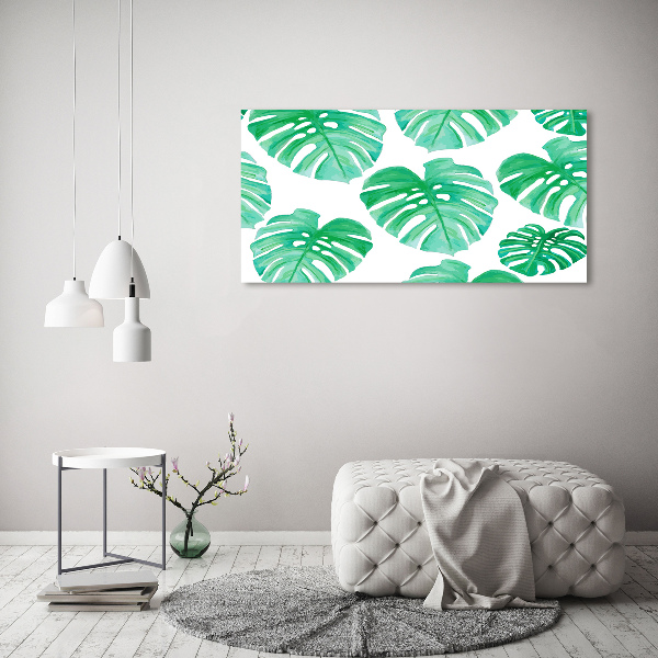 Foto obraz canvas Monstera