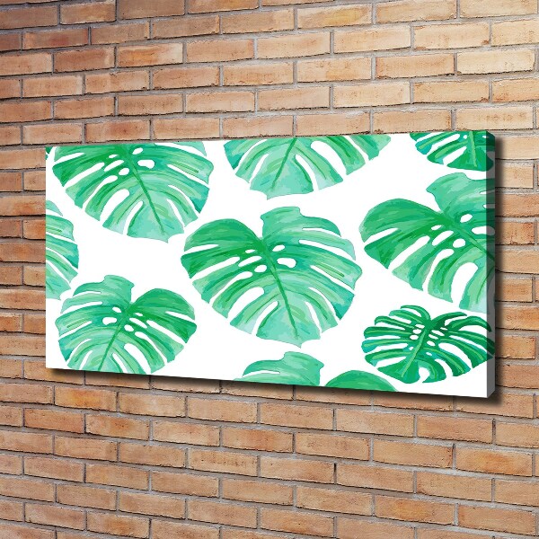 Foto obraz canvas Monstera