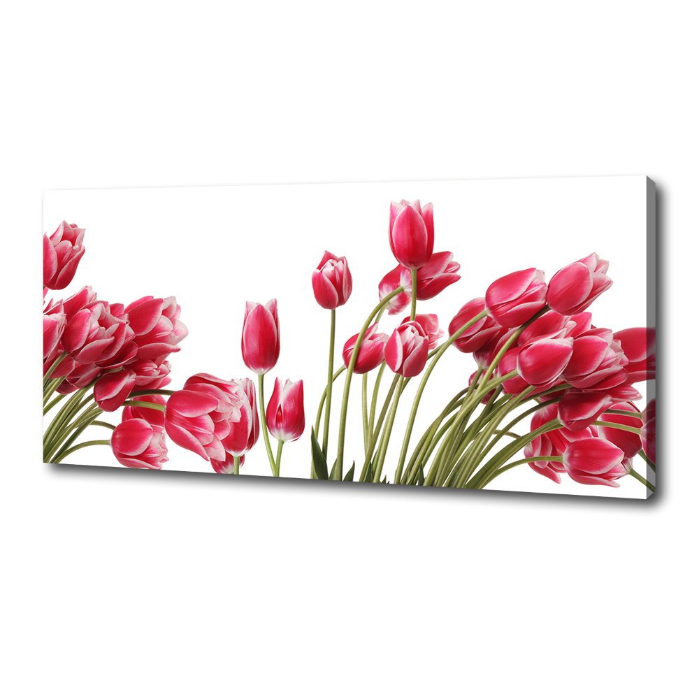 Foto obraz na płótnie Czerwone tulipany