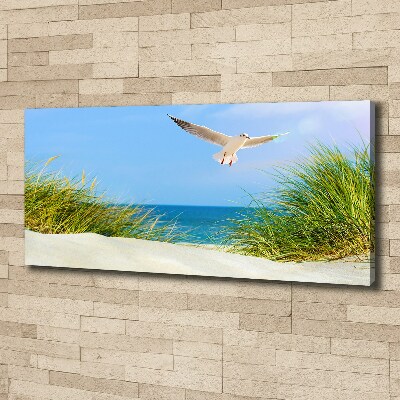 Foto obraz na płótnie Mewa na plaży