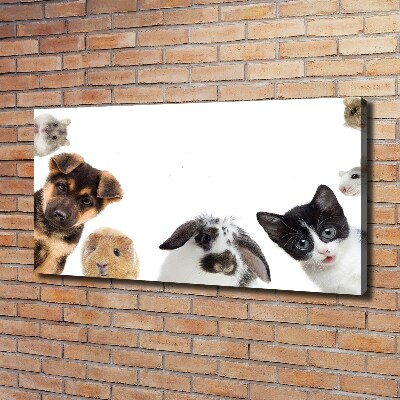 Obraz canvas do salonu Zwierzęta domowe