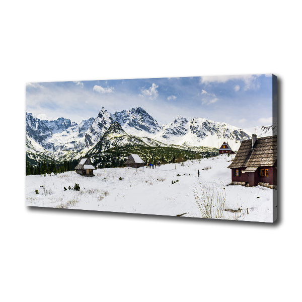 Foto obraz canvas Hale Tatry