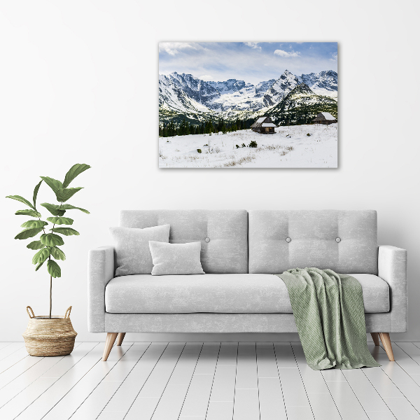 Foto obraz canvas Hale Tatry