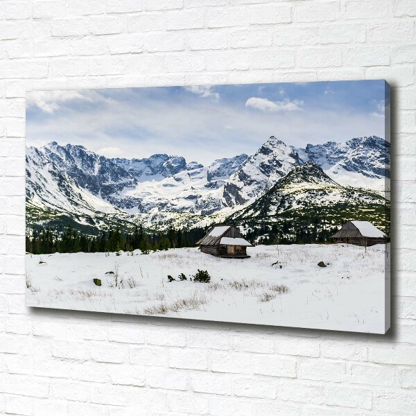 Foto obraz canvas Hale Tatry