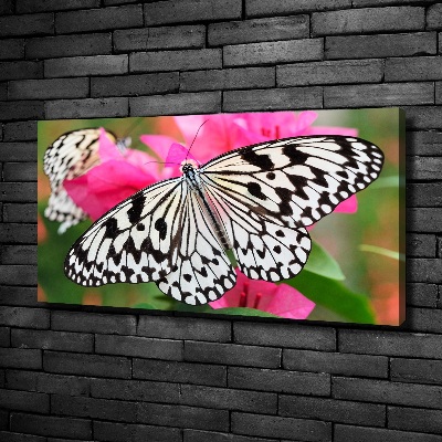 Foto obraz na płótnie Motyl na kwiatku
