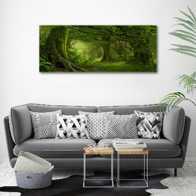 Foto obraz na płótnie Tropikalna dżungla