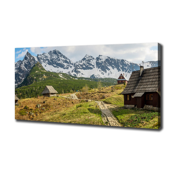 Foto obraz canvas Hale Tatry