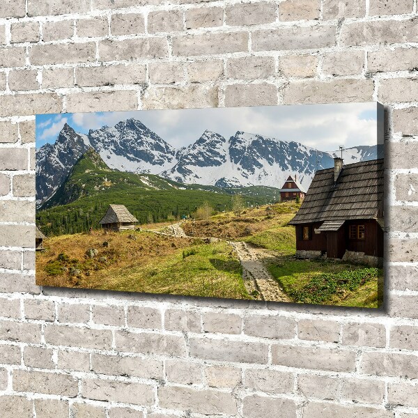 Foto obraz canvas Hale Tatry