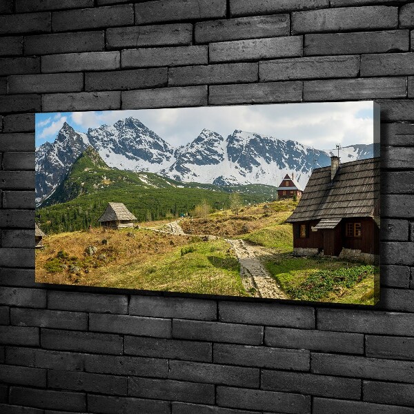 Foto obraz canvas Hale Tatry