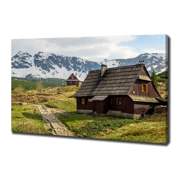 Foto obraz canvas Hale Tatry