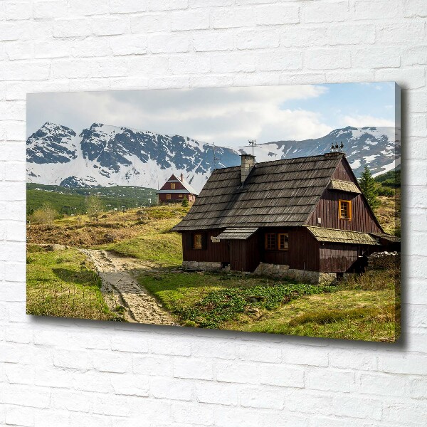 Foto obraz canvas Hale Tatry