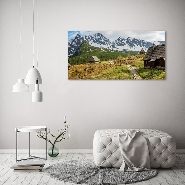 Foto obraz canvas Hale Tatry