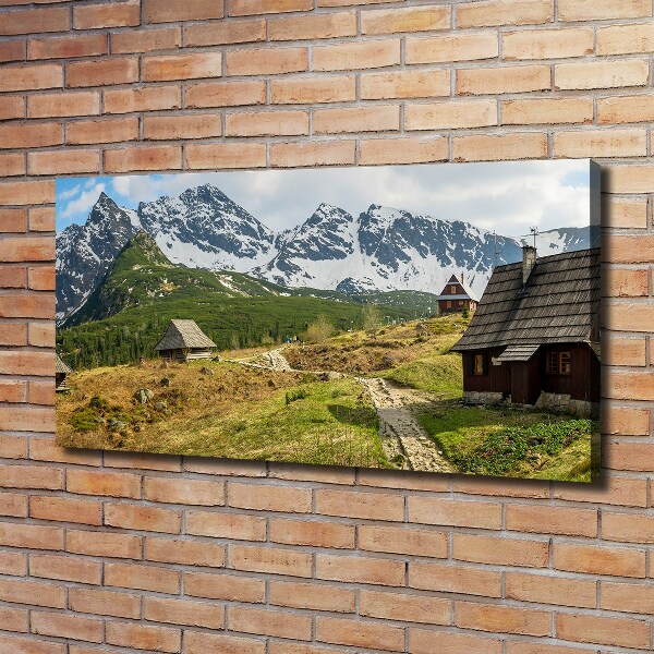 Foto obraz canvas Hale Tatry