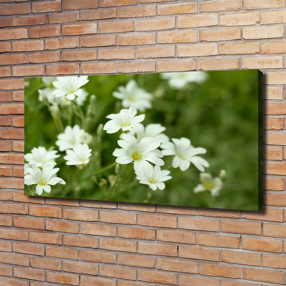 Foto obraz na płótnie Wiosenne kwiaty