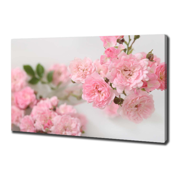Foto obraz canvas Dzikie róże