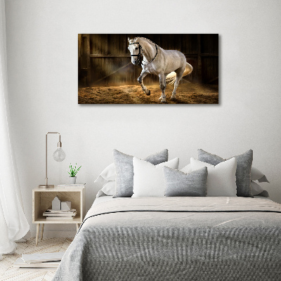 Foto obraz na płótnie Biały koń w stajni