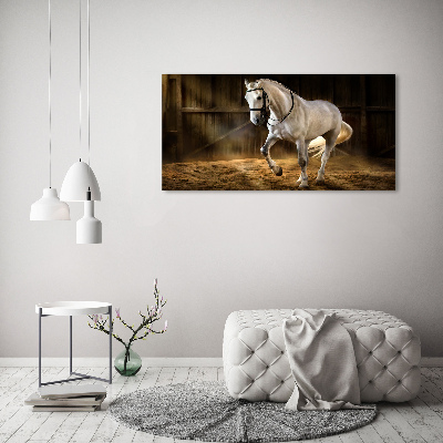 Foto obraz na płótnie Biały koń w stajni