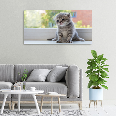 Foto obraz na płótnie Mały kot przy oknie