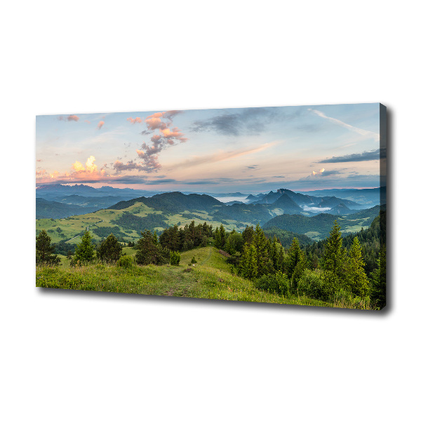 Foto obraz na płótnie Panorama Pieniny
