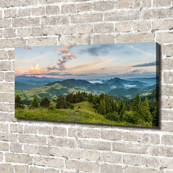 Foto obraz na płótnie Panorama Pieniny