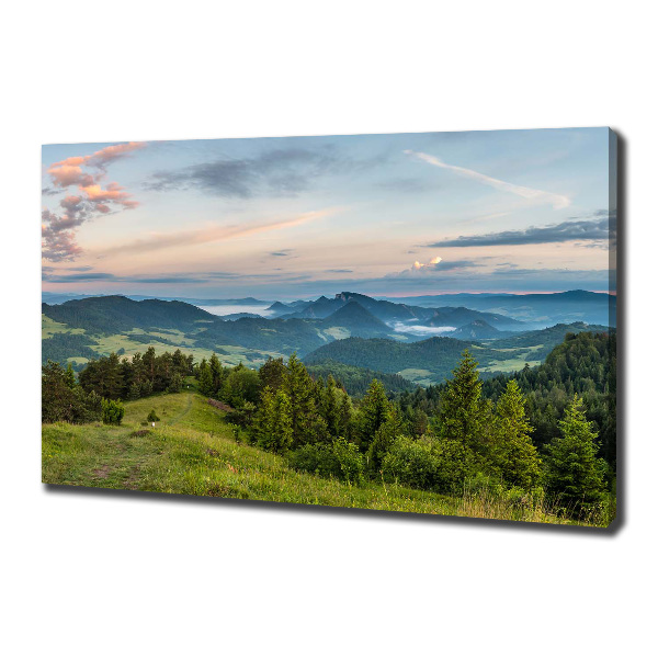 Foto obraz na płótnie Panorama Pieniny